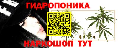 a pvp Волгодонск