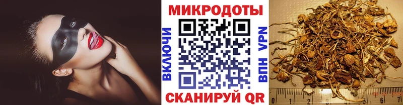 Псилоцибиновые грибы MAGIC MUSHROOMS  что такое   Северодвинск 