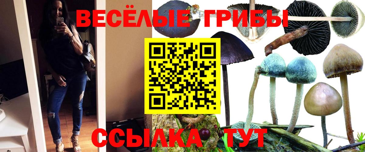 Псилоцибиновые грибы прущие грибы  Вход с VPN  Галлюциногенные грибы Psilocybine cubensis  сколько стоит  Северодвинск 